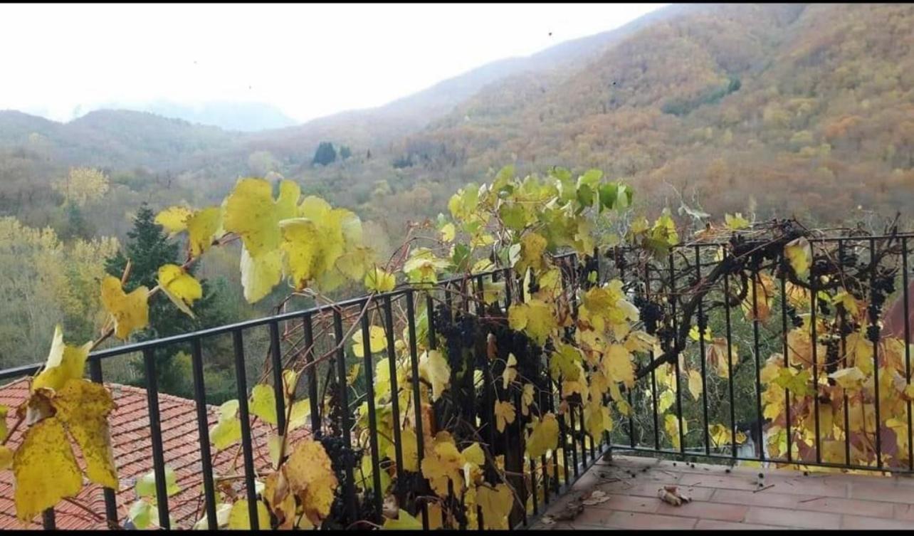Coletti Pietro Snc Hotel Fabbrica Kültér fotó